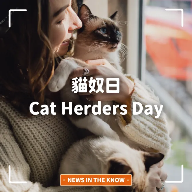 Cat Herders Day縮圖版.webp