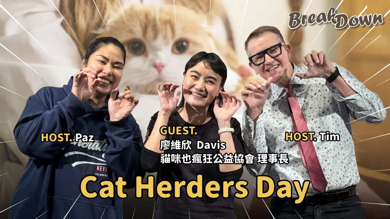 Cat Herders Day 縮圖.webp